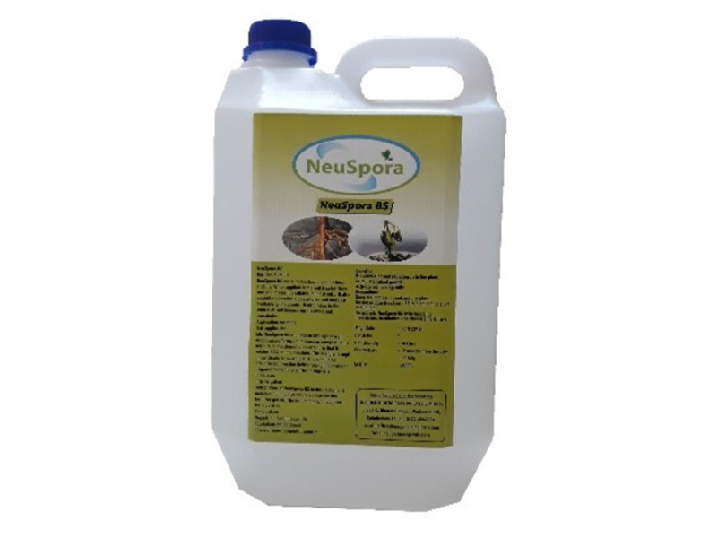NeuSpora BS