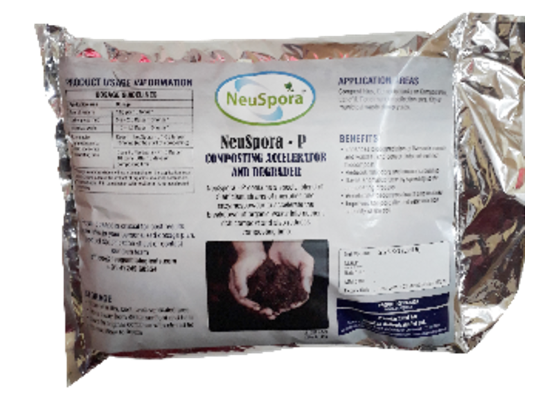 NeuSpora P
